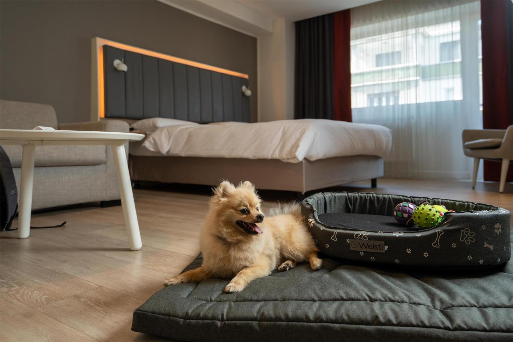 Park Inn By Radisson Bucharest Hotel & Residence Exterior foto